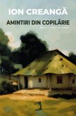 Amintiri din copilarie (eBook, ePUB)
