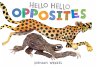 Hello Hello Opposites (eBook, ePUB) - Bild 1