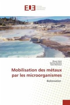 Mobilisation des métaux par les microorganismes - Zahir, Ilham;Baraho, Samira;Mansour, Sara