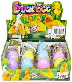 Cover Wachsende Ente im Ei