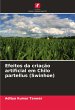Efeitos da criação artificial em... - Bild 1
