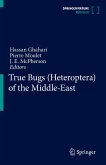 True Bugs (Heteroptera) of the Middle-East