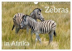 Zebras in Afrika (Wandkalender 2025 DIN A4 quer), CALVENDO Monatskalender