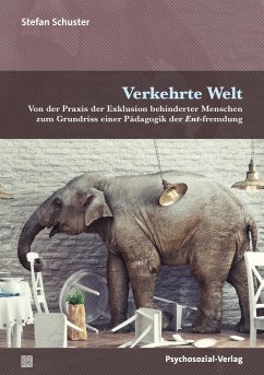 Verkehrte Welt (eBook, PDF) - Schuster, Stefan