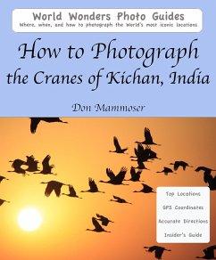 Cover How to Photograph the Cranes of Kichan, India (eBook, ePUB)