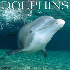 Dolphins 2025 12 X 12 Wall Calendar - Willow Creek Press