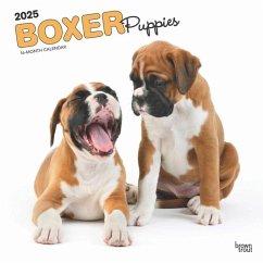 Boxer Puppies 2025 12 X 24 Inch Monthly Square Wall Calendar Plastic-Free - Browntrout