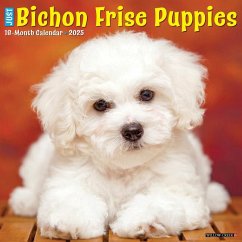 Just Bichon Frise Puppies 2025 12 X 12 Wall Calendar - Willow Creek Press