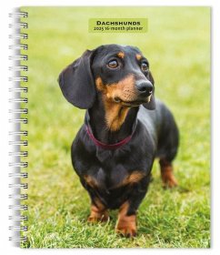 Dachshunds 2025 6 X 7.75 Inch Spiral-Bound Wire-O Weekly Engagement Planner Calendar New Full-Color Image Every Week - Browntrout Dachshunds 2025 6 X 7.75 Inch Spiral-Bound Wire-O Weekly Engagement Planner Calendar New Full-Color Image Every Week - Browntrout