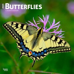 Butterflies 2025 12 X 24 Inch Monthly Square Wall Calendar Plastic-Free - Browntrout