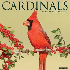 Cardinals 2025 12 X 12 Wall Calendar - Willow Creek Press
