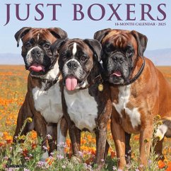 Just Boxers 2025 12 X 12 Wall Calendar - Willow Creek Press