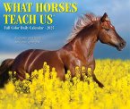 What Horses Teach Us 2025 6.2 X 5.4 Box Calendar