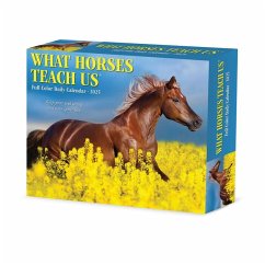 What Horses Teach Us 2025 6.2 X 5.4 Box Calendar - Willow Creek Press