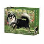 Chihuahuas 2025 6.2 X 5.4 Box Calendar