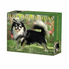 Chihuahuas 2025 6.2 X 5.4 Box Calendar - Willow Creek Press