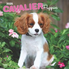 Cavalier King Charles Spaniel Puppies 2025 12 X 24 Inch Monthly Square Wall Calendar Plastic-Free - Browntrout