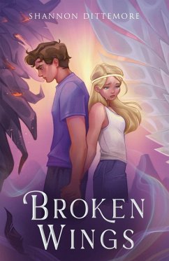 Cover Broken Wings