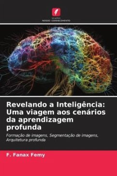 Revelando a Inteligência: Uma viagem aos cenários da aprendizagem profunda - Femy, F. Fanax