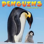 Penguins 2025 12 X 12 Wall Calendar