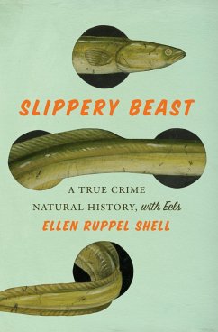 Slippery Beast - Shell, Ellen Ruppel