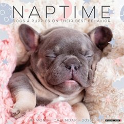Naptime (Dogs & Puppies) 2025 12 X 12 Wall Calendar - Willow Creek Press