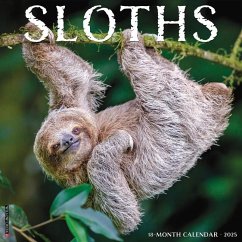 Sloths 2025 12 X 12 Wall Calendar - Willow Creek Press