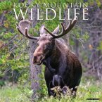 Rocky Mountain Wildlife 2025 12 X 12 Wall Calendar