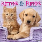 Kittens & Puppies 2025 12 X 12 Wall Calendar