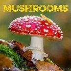 Mushroom (the Art of The) 2025 12 X 12 Wall Calendar
