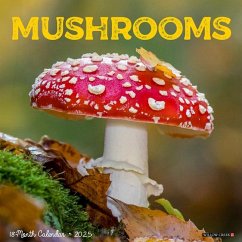 Mushroom (the Art of The) 2025 12 X 12 Wall Calendar - Willow Creek Press