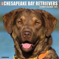 Just Chesapeake Bay Retrievers 2025 12 X 12 Wall Calendar - Willow Creek Press