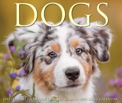 Dogs 2025 6.2 X 5.4 Box Calendar - Willow Creek Press