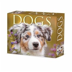 Dogs 2025 6.2 X 5.4 Box Calendar - Willow Creek Press