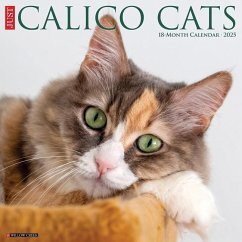 Just Calico Cats 2025 12 X 12 Wall Calendar - Willow Creek Press