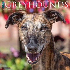 Just Greyhounds 2025 12 X 12 Wall Calendar - Willow Creek Press