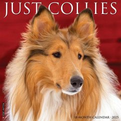 Just Collies 2025 12 X 12 Wall Calendar - Willow Creek Press