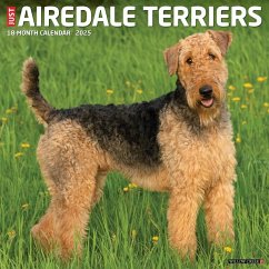 Just Airedale Terriers 2025 12 X 12 Wall Calendar - Willow Creek Press