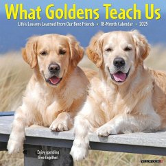 What Goldens Teach Us 2025 12 X 12 Wall Calendar - Willow Creek Press