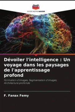 Dévoiler l'intelligence : Un voyage dans les paysages de l'apprentissage profond - Femy, F. Fanax