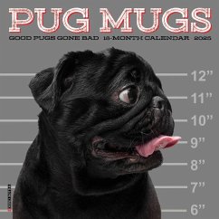 Pug Mugs 2025 7 X 7 Mini Wall Calendar - Willow Creek Press