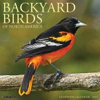 Backyard Birds 2025 12 X 12 Wall Calendar