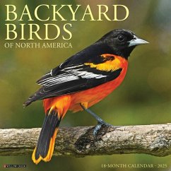 Backyard Birds 2025 12 X 12 Wall Calendar - Willow Creek Press