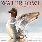 Waterfowl 2025 12 X 12 Wall Calendar