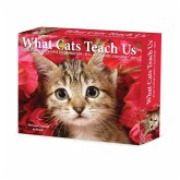 What Cats Teach Us 2025 6.2 X 5.4 Box Calendar