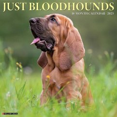 Just Bloodhounds 2025 12 X 12 Wall Calendar - Willow Creek Press