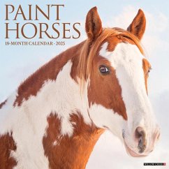 Paint Horses 2025 12 X 12 Wall Calendar - Willow Creek Press
