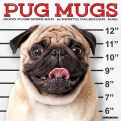 Pug Mugs 2025 12 X 12 Wall Calendar - Willow Creek Press