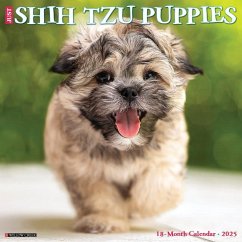 Just Shih Tzu Puppies 2025 12 X 12 Wall Calendar - Willow Creek Press