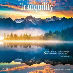 Tranquility 2025 12 X 24 Inch Monthly Square Wall Calendar Plastic-Free - Browntrout